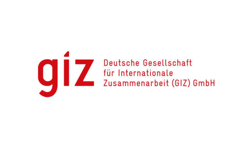 Logo giz GmbH